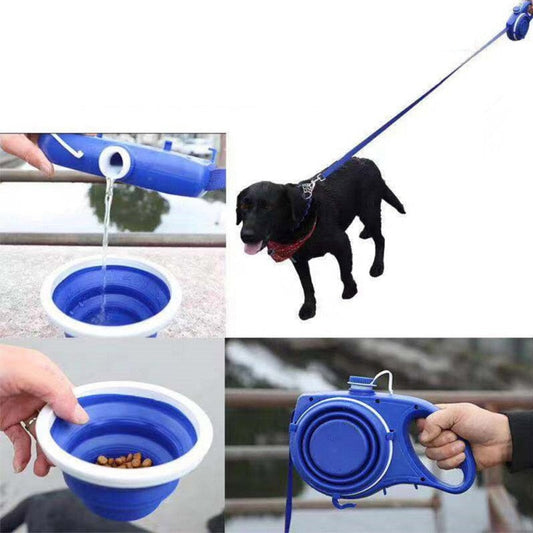 2 in 1 Dog Leash