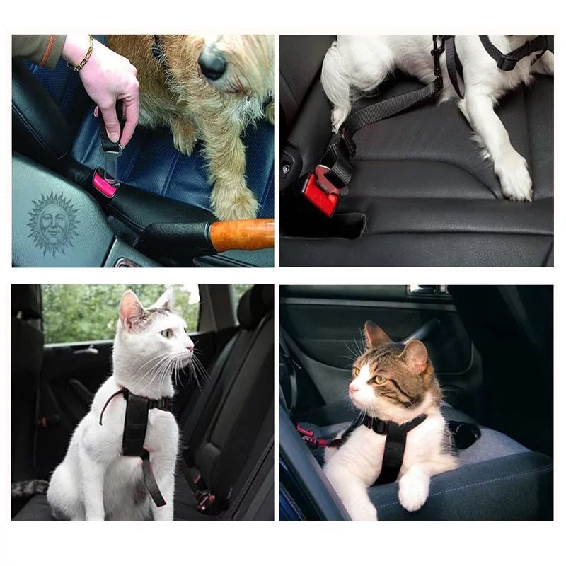 PET CAR SAFETY BELT