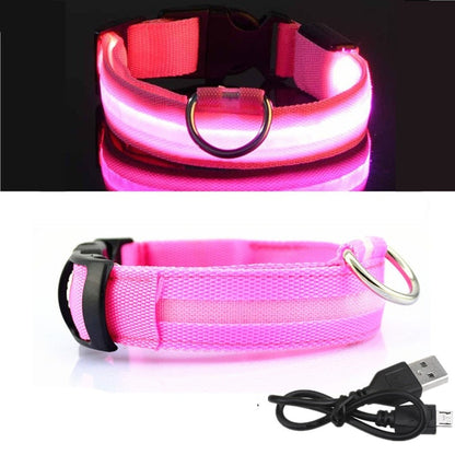 PET LED COLLAR