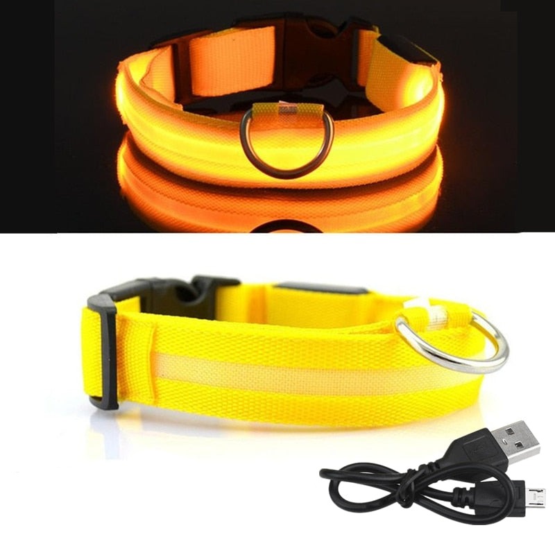 PET LED COLLAR