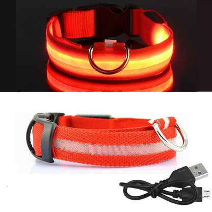 PET LED COLLAR