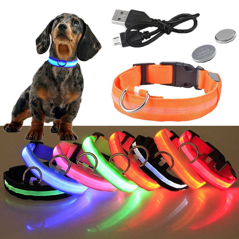 PET LED COLLAR