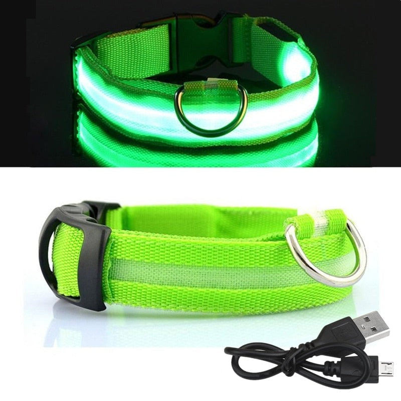 PET LED COLLAR