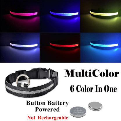 PET LED COLLAR