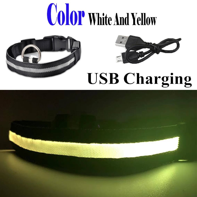 PET LED COLLAR