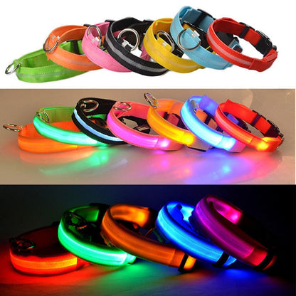 PET LED COLLAR