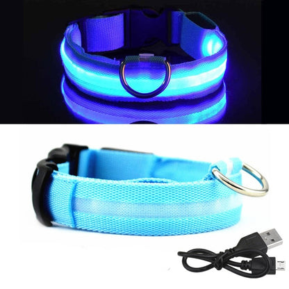 PET LED COLLAR