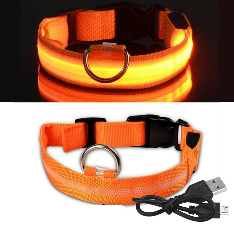 PET LED COLLAR